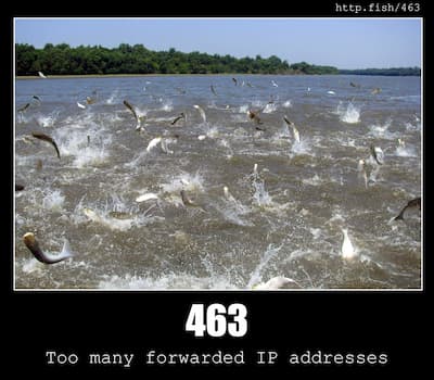 463 Too many forwarded IP addresses & Fish