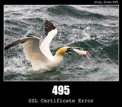 495 SSL Certificate Error & Fish