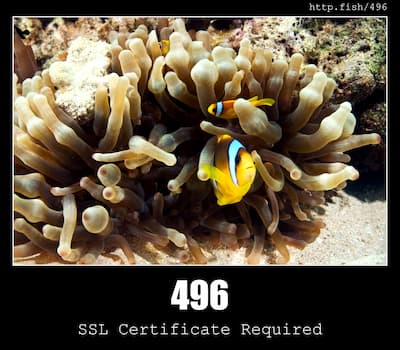 496 SSL Certificate Required & Fish