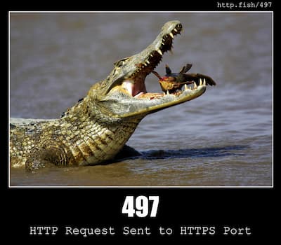 497 HTTP Request Sent to HTTPS Port & Fish