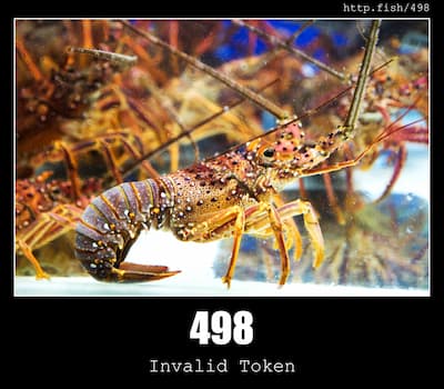 498 Invalid Token & Fish