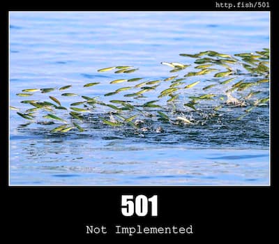 501 Not Implemented & Fish