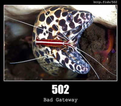 502 Bad Gateway & Fish