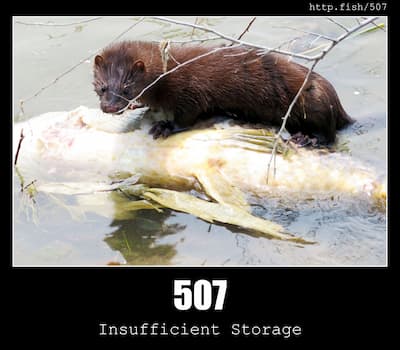 507 Insufficient Storage & Fish