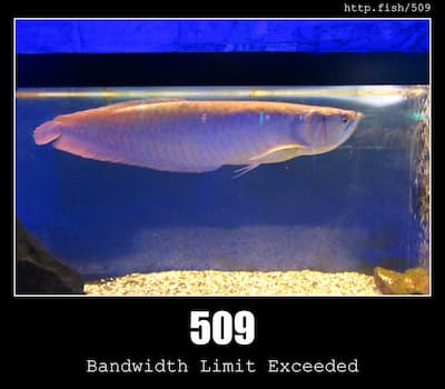 509 Bandwidth Limit Exceeded & Fish
