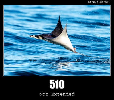 510 Not Extended & Fish