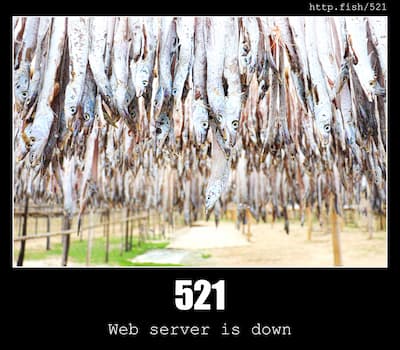 521 Web server is down & Fish