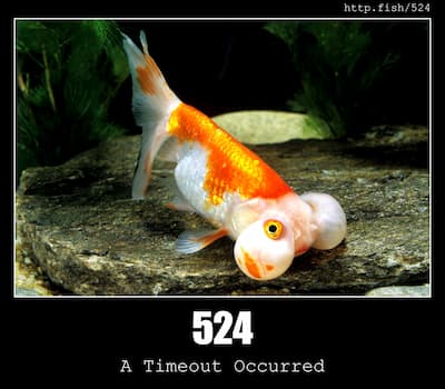 524 A Timeout Occurred & Fish