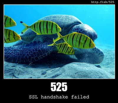 525 SSL handshake failed & Fish