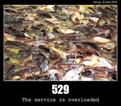 529 The service is overloaded & Fish