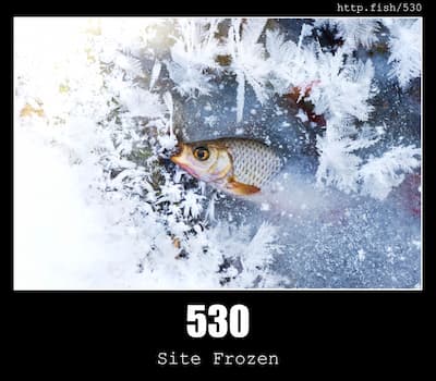 530 Site Frozen & Fish