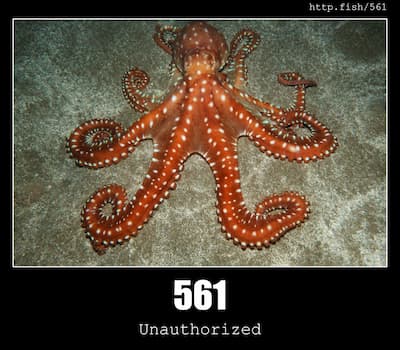 561 Unauthorized & Fish