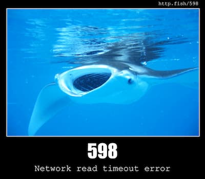 598 Network read timeout error & Fish