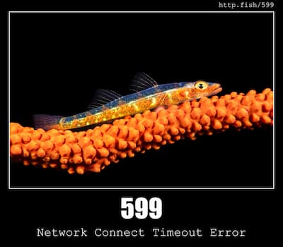 599 Network Connect Timeout Error & Fish