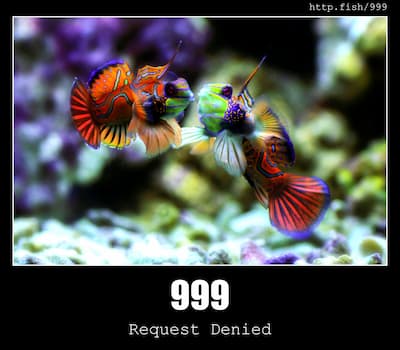 999 Request Denied & Fish